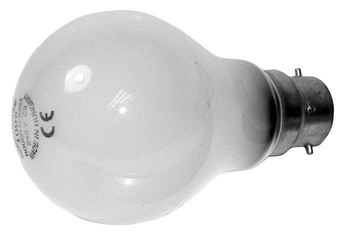 Rough Service Bulbs